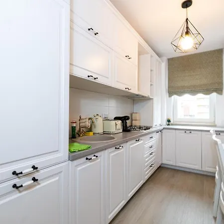 בראשוב Pentha Apt - Stylish And Spacious 2-Bedroom Apartment Near Coresi Mall מראה חיצוני תמונה